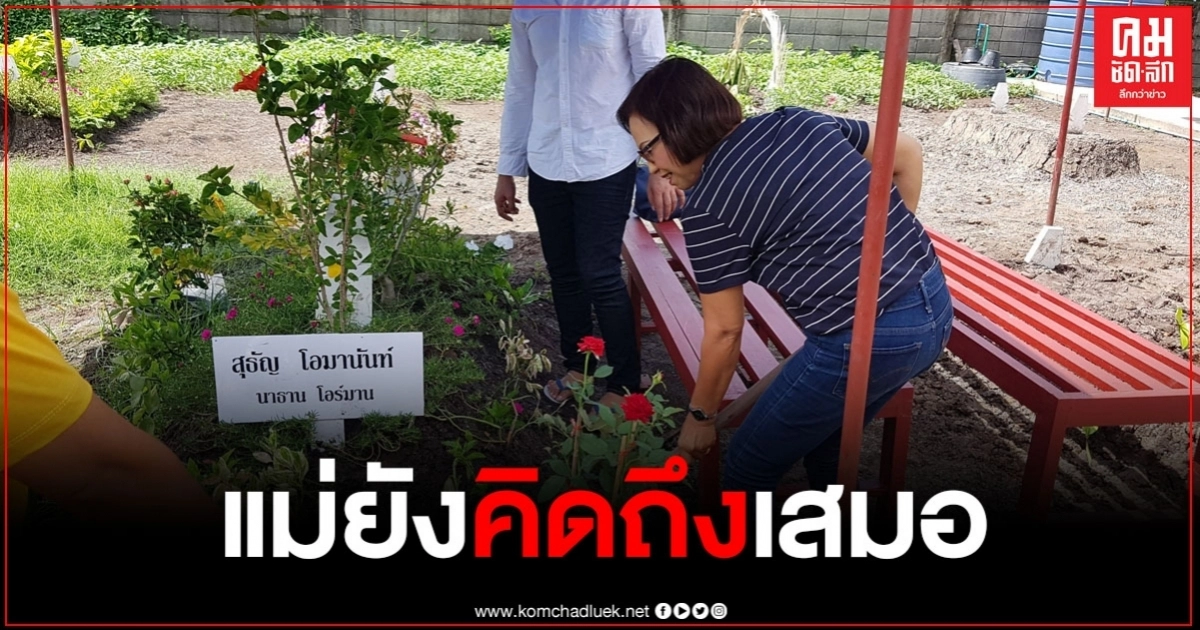 "นาธาน โอร์มาน" จากไปครบ 41 วัน แม่นำต้นไม้ที่ลูกชอบ มาปลูกส่งบุญให้ "นาธาน โอร์มาน" จากไปครบ 41 วัน แม่นำต้นไม้ที่ลูกชอบ มาปลูกส่งบุญให้