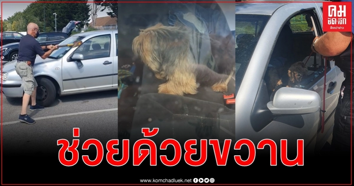 ชายอังกฤษใช้ขวานทุบกระจกหน้าต่างรถ ช่วยน้องหมาก่อนสุกคารถร้อน (มีคลิป) ชายอังกฤษใช้ขวานทุบกระจกหน้าต่างรถ ช่วยน้องหมาก่อนสุกคารถร้อน (มีคลิป)