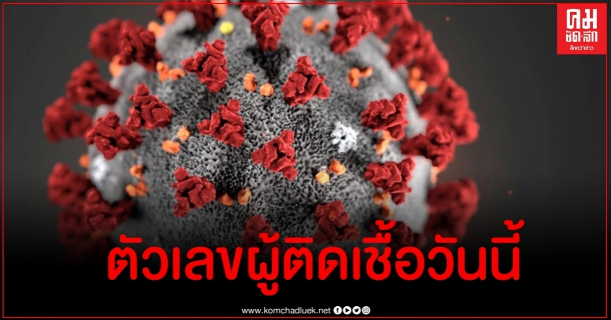 ด่วน ไทยพบผู้ติดเชื้อโควิด-19 วันนี้พุ่งรวดเดียว 17 ราย ด่วน ไทยพบผู้ติดเชื้อโควิด-19 วันนี้พุ่งรวดเดียว 17 ราย