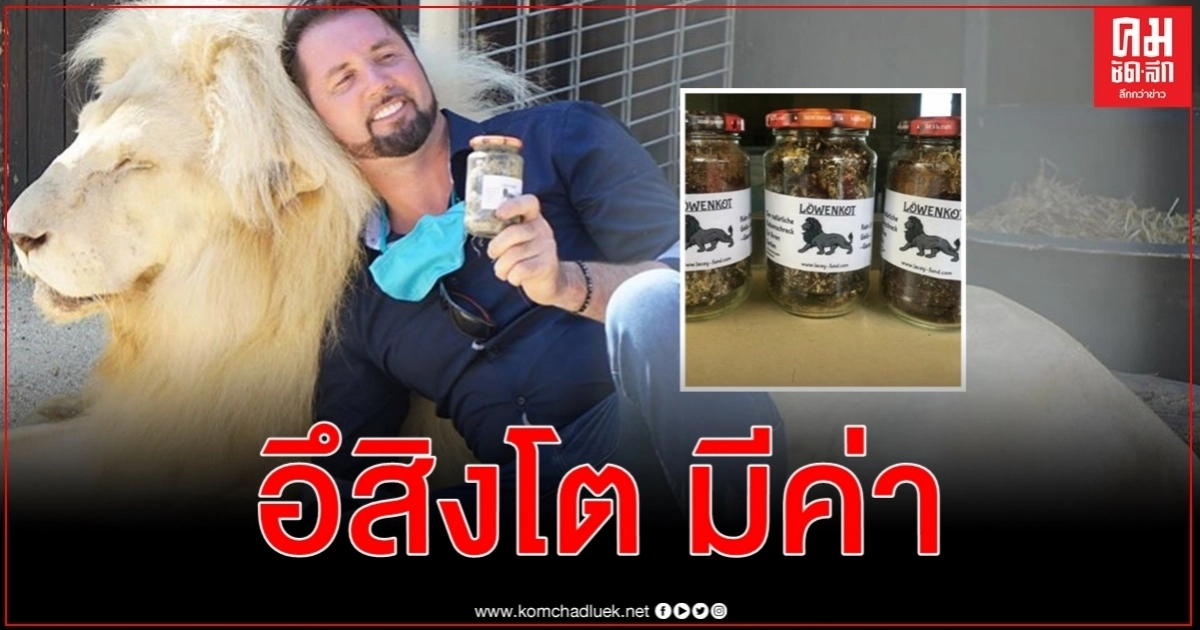  คณะละครสัตว์ในเยอรมนี บรรจุอึเสือสิงโตใส่โหลขาย ฝ่ามรสุมโควิด-19 