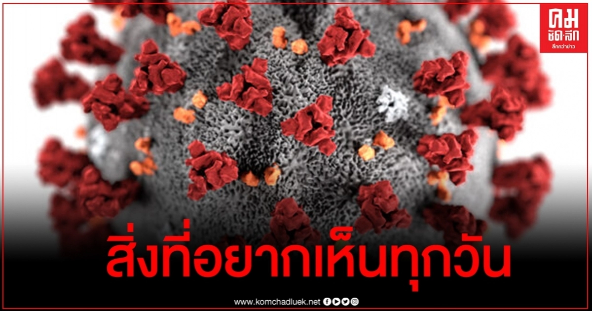 ด่วน ข่าวดีวันนี้ ตัวเลขผู้ติดเชื้อเป็น 0 รักษาหายเพิ่ม 20 ด่วน ข่าวดีวันนี้ ตัวเลขผู้ติดเชื้อเป็น 0 รักษาหายเพิ่ม 20