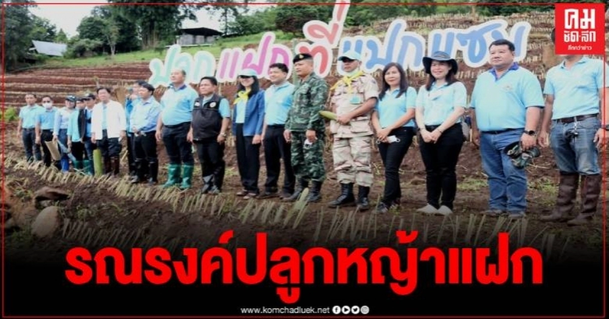 สถานีพัฒนาที่ดินเชียงใหม่ รณรงค์ปลูกหญ้าแฝก ป้องกันการชะล้างพังทลายของหน้าดิน