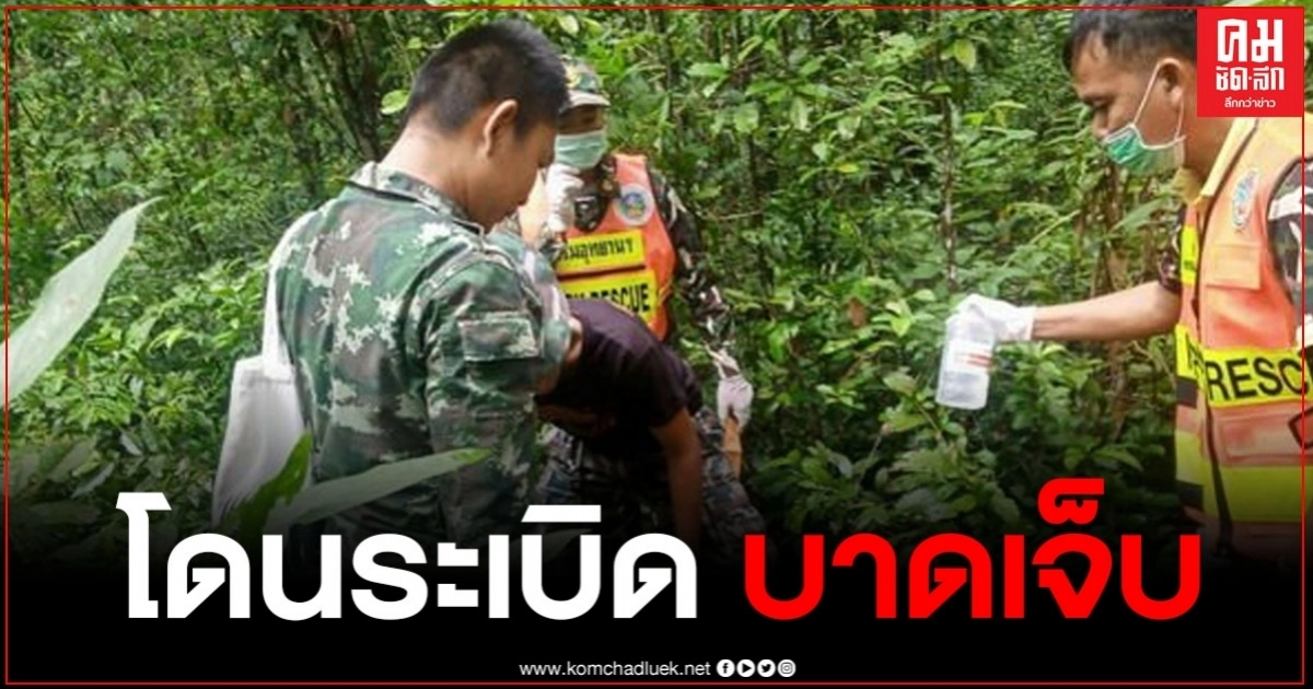 โชคร้าย ชาวบ้านเก็บเห็ดป่า พลาดท่าเหยียบกับระเบิด เจ็บหนัก โชคร้าย ชาวบ้านเก็บเห็ดป่า พลาดท่าเหยียบกับระเบิด เจ็บหนัก