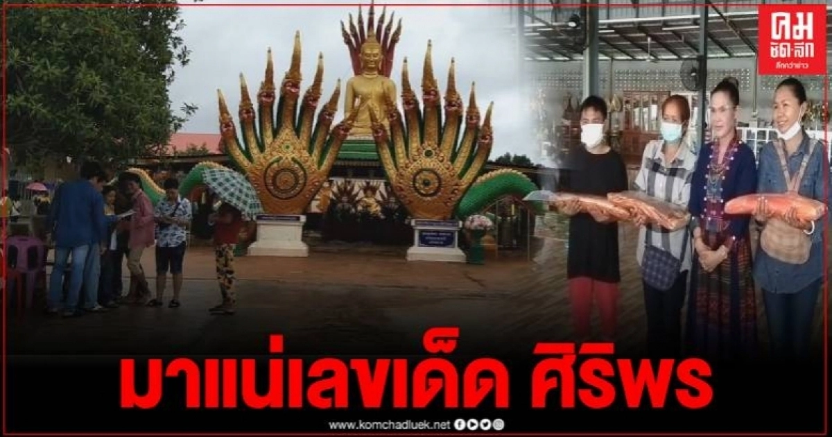 งวดนี้มาแน่ เลขเด็ด "ศิริพร" หลังกระซิบบอกคอหวยที่มาทำบุญแน่นวัด งวดนี้มาแน่ เลขเด็ด "ศิริพร" หลังกระซิบบอกคอหวยที่มาทำบุญแน่นวัด