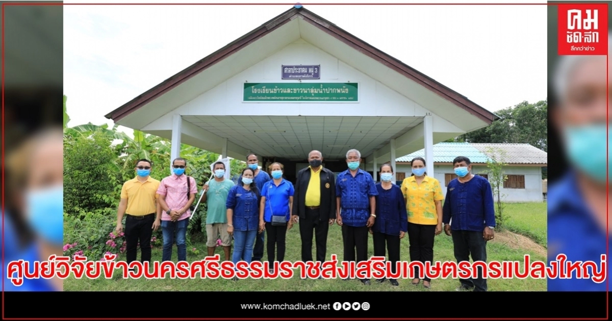 ศูนย์วิจัยข้าวนครศรีธรรมราชส่งเสริมเกษตรกรแปลงใหญ่ สืบสาน รักษา ต่อยอด พัฒนาด้านข้าวและชาวนาไทย