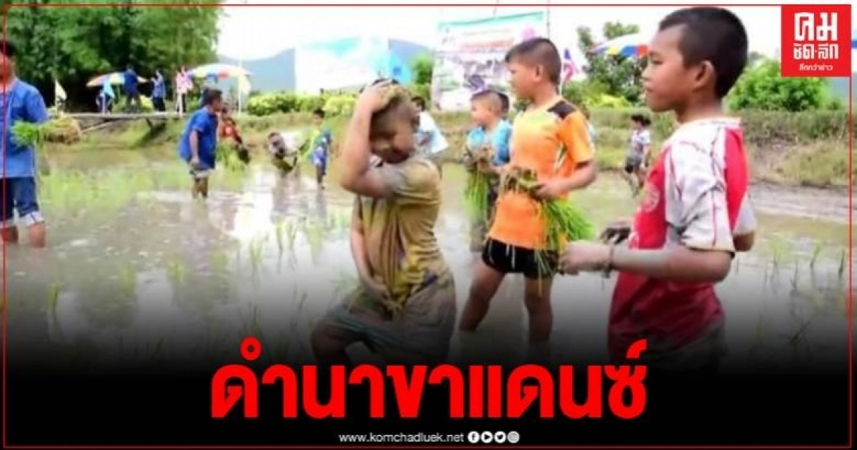 สอนลูกทำนาผ่านโครงการ "ปลูกวันแม่ เกี่ยววันพ่อ"หนูน้อยโชว์สเต็ปแดนซ์สร้างสีสัน