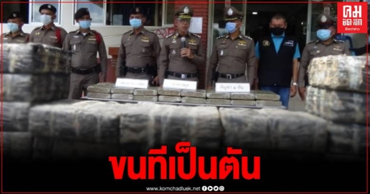 ตำรวจควนกาหลง ตาไว ยึดกัญชาอัดแท่ง 1 ตัน ซุกใต้กระสอบขี้ไก่หวังพรางเจ้าหน้าที่