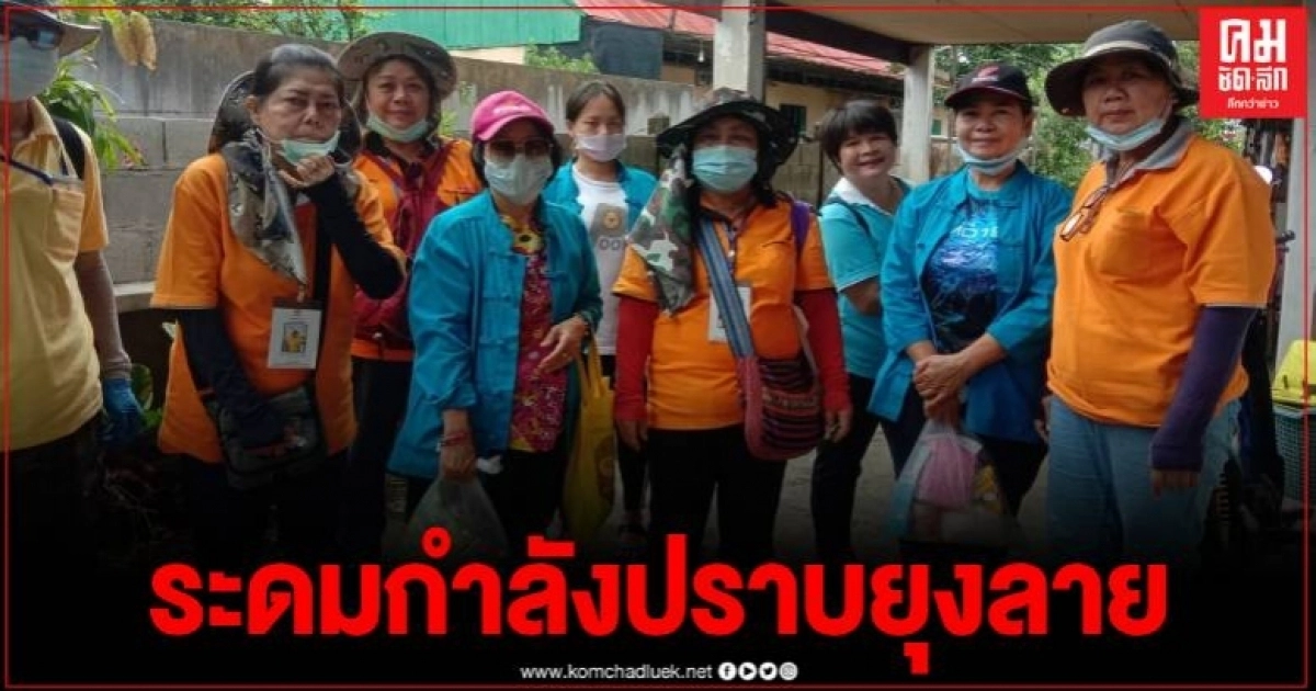 เชียงใหม่ป่วยไข้เลือดออก 1,726 ราย ดับ 1 ราย ระดม อสม.-ม้าเร็วลงพื้นทีทำลายลูกน้ำยุง