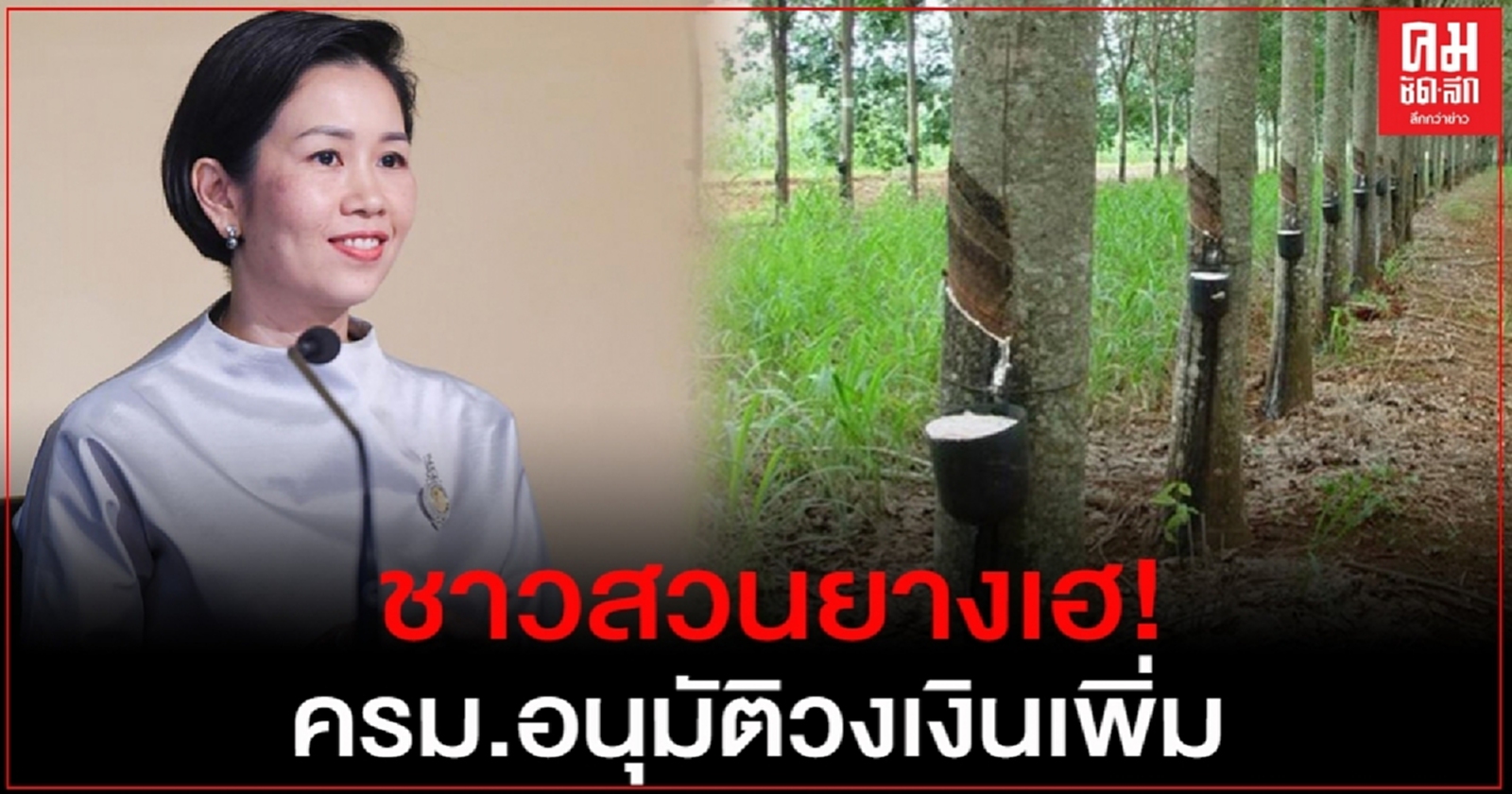 ชาวสวนยางเฮ ครม.อนุมัติวงเงินเพิ่มเติมโครงการประกันรายได้ 2.34 พันล้านบาท