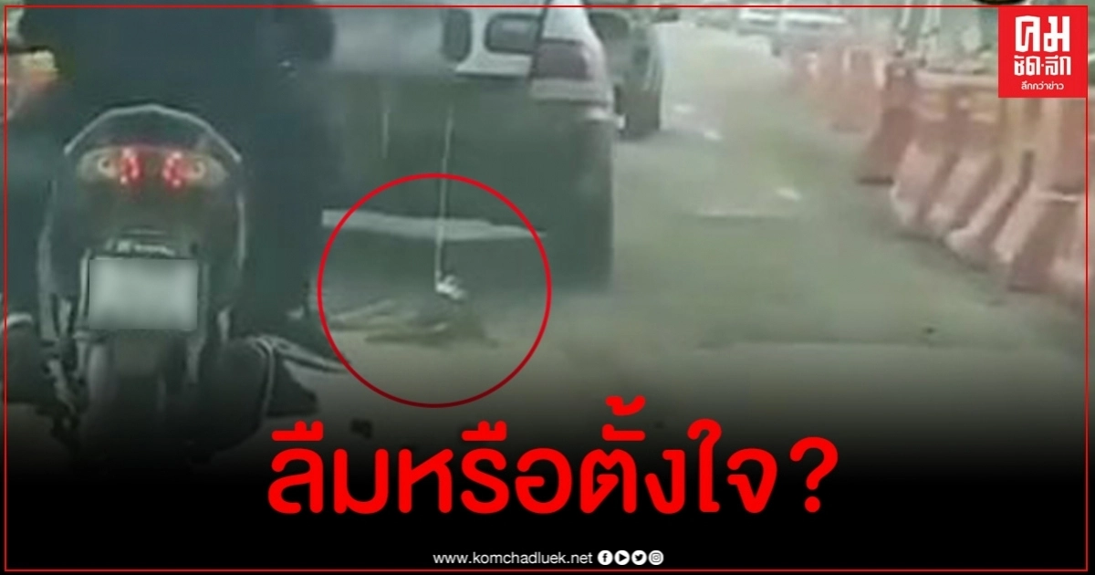 คนรักสัตว์เดือด คลิปเก๋งผูกเชือกขับลากสุนัขไปตามท้องถนน คนรักสัตว์เดือด คลิปเก๋งผูกเชือกขับลากสุนัขไปตามท้องถนน