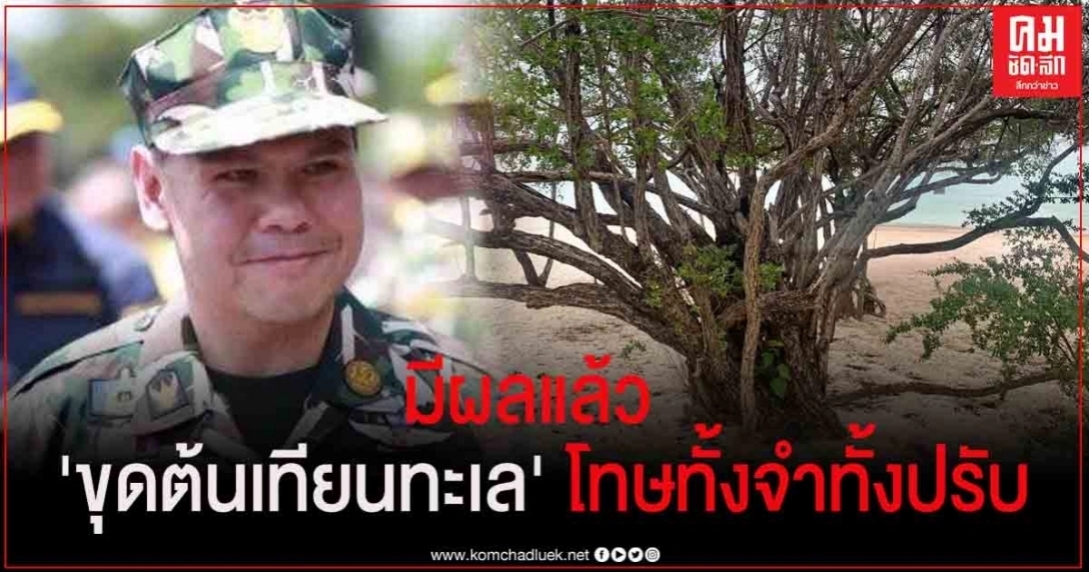 ด่วน! มีผลแล้ววันนี้ ลักลอบขุดต้นเทียนทะเล โทษจำคุก 1 ปี ปรับ 1 แสนบาท ด่วน! มีผลแล้ววันนี้ ลักลอบขุดต้นเทียนทะเล โทษจำคุก 1 ปี ปรับ 1 แสนบาท