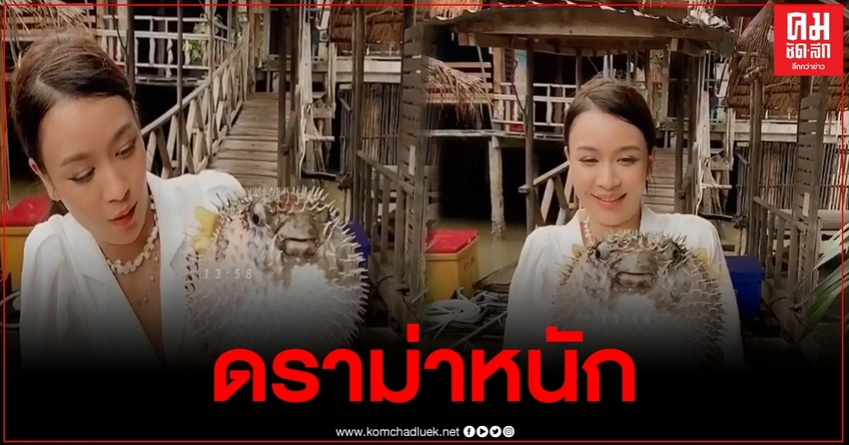 ดราม่าหนัก หลัง "เบนซ์ ปุณยาพร" อุ้มปลาปักเป้าถ่ายรูป เผยจะทำให้ตายเร็วขึ้น ดราม่าหนัก หลัง "เบนซ์ ปุณยาพร" อุ้มปลาปักเป้าถ่ายรูป เผยจะทำให้ตายเร็วขึ้น