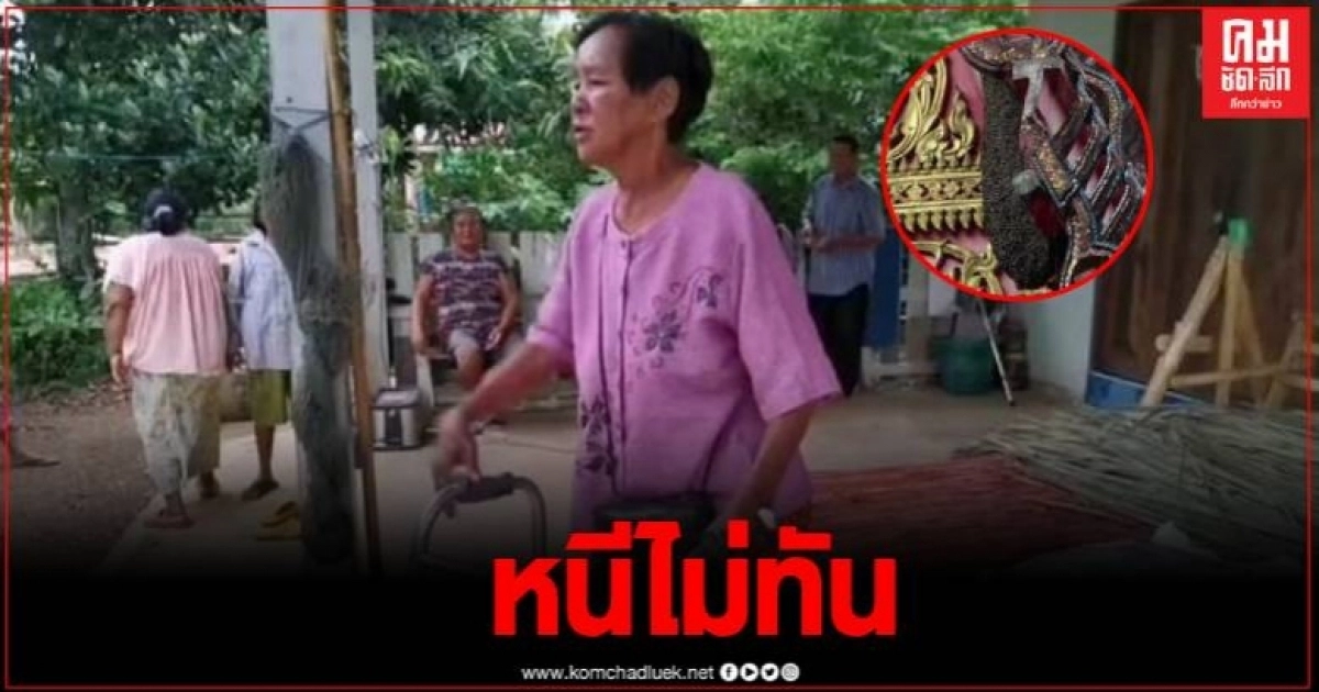 สุดซวย ยาย 77 ปี โดนผึ้งหลวงรุมต่อย ขณะเดินตลาด พลเมืองดีนำส่งโรงพยาบาล