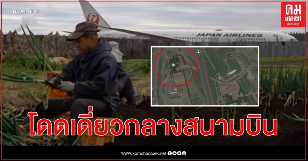 ชายญี่ปุ่นอาศัยกลางสนามบินนาริตะ ยืนหยัดไม่ย้าย รักษาสวนผักบรรพบุรุษอายุ 100 ปี ชายญี่ปุ่นอาศัยกลางสนามบินนาริตะ ยืนหยัดไม่ย้าย รักษาสวนผักบรรพบุรุษอายุ 100 ปี