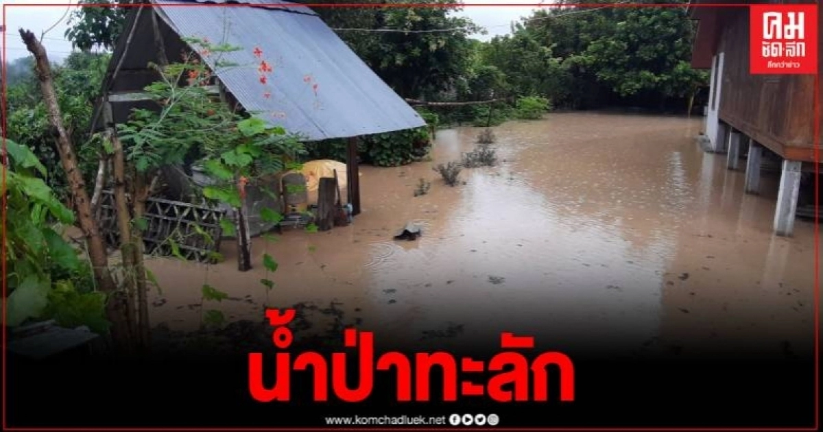 บ้านเมืองปอน แม่ฮ่องสอนอ่วมหนัก น้ำป่าทะลักท่วมพื้นที่เกษตร บ้านเรือน ปชช. บ้านเมืองปอน แม่ฮ่องสอนอ่วมหนัก น้ำป่าทะลักท่วมพื้นที่เกษตร บ้านเรือน ปชช.