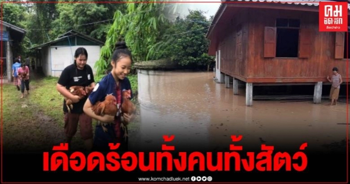 อ.แม่ลาน้อย เร่งขนย้ายสัตว์เลี้ยงขึ้นพื้นที่สูงเพื่อความปลอดภัยน้ำป่าไหลหลาก น้ำล้นตลิ่ง อ.แม่ลาน้อย เร่งขนย้ายสัตว์เลี้ยงขึ้นพื้นที่สูงเพื่อความปลอดภัยน้ำป่าไหลหลาก น้ำล้นตลิ่ง