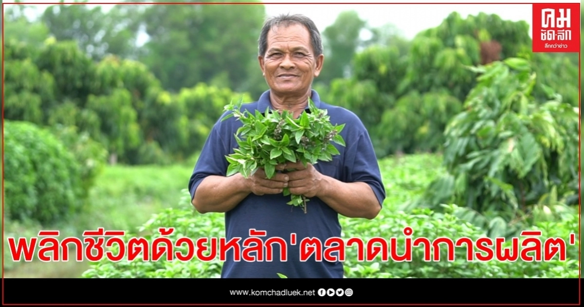 "สัมฤทธิ์ ตะพานทอง" เกษตรกรบนผืนดินพระราชทาน พลิกชีวิตด้วยหลัก"ตลาดนำการผลิต" "สัมฤทธิ์ ตะพานทอง" เกษตรกรบนผืนดินพระราชทาน พลิกชีวิตด้วยหลัก"ตลาดนำการผลิต"