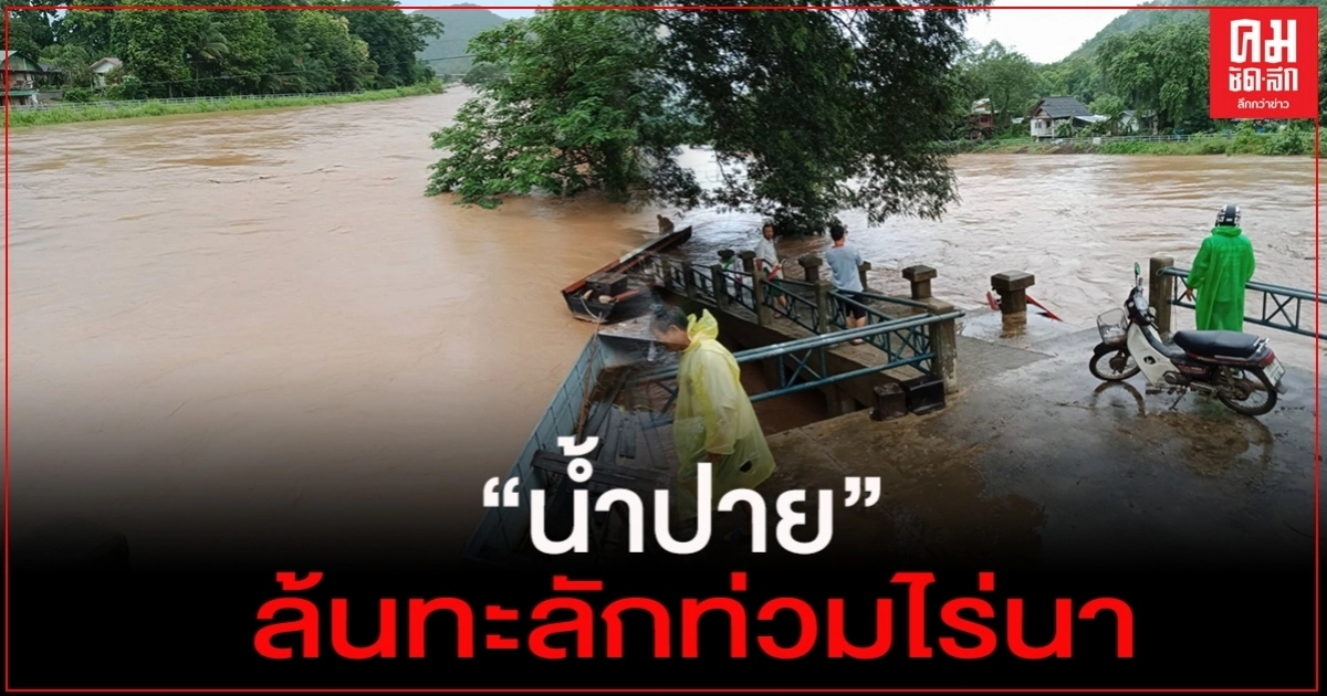 แม่ฮ่องสอน อ่วม "น้ำปาย"เอ่อล้นทะลักท่วมไร่-นา