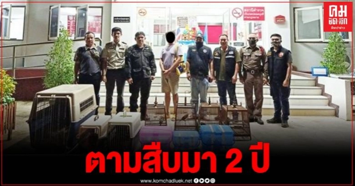 "เหยี่ยวดง" มือปราบไซเบอร์ แกะรอยสืบทางโซเชียล บุกรวบพ่อค้าสัตว์ป่าคาบ้าน "เหยี่ยวดง" มือปราบไซเบอร์ แกะรอยสืบทางโซเชียล บุกรวบพ่อค้าสัตว์ป่าคาบ้าน