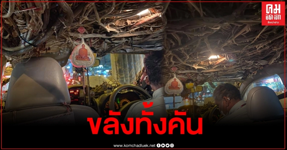 บรรยากาศชวนขนลุก สาวขึ้นแท็กซี่สุดขลัง รากไม้เต็มหลังคา บรรยากาศชวนขนลุก สาวขึ้นแท็กซี่สุดขลัง รากไม้เต็มหลังคา