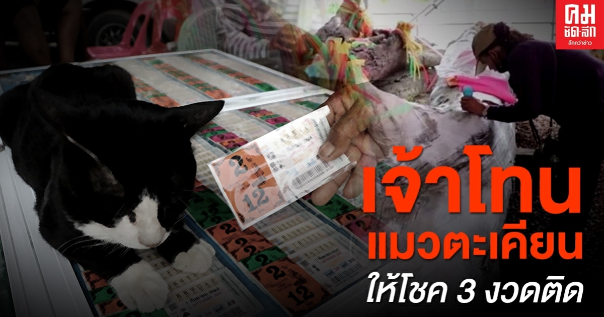 ชาวบ้านขอเลขเด็ด "เจ้าโทนแมวตะเคียน" วัดใหม่โคกมะรุม หลังให้โชคชาวบ้าน 3 งวดติด ชาวบ้านขอเลขเด็ด "เจ้าโทนแมวตะเคียน" วัดใหม่โคกมะรุม หลังให้โชคชาวบ้าน 3 งวดติด