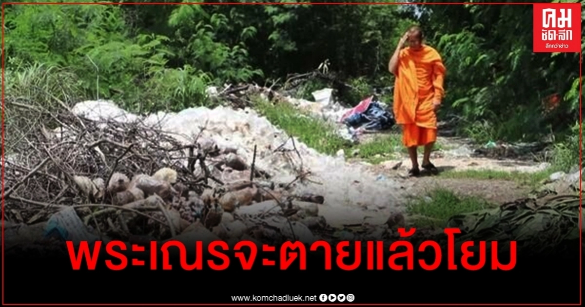 จะตายแล้วโยม ขยะกองโตเต็มทางเข้าวัด พระ-เณรทนเหม็นไม่ไหวขอบิณฑบาตเอาไปทิ้งที่อื่น จะตายแล้วโยม ขยะกองโตเต็มทางเข้าวัด พระ-เณรทนเหม็นไม่ไหวขอบิณฑบาตเอาไปทิ้งที่อื่น