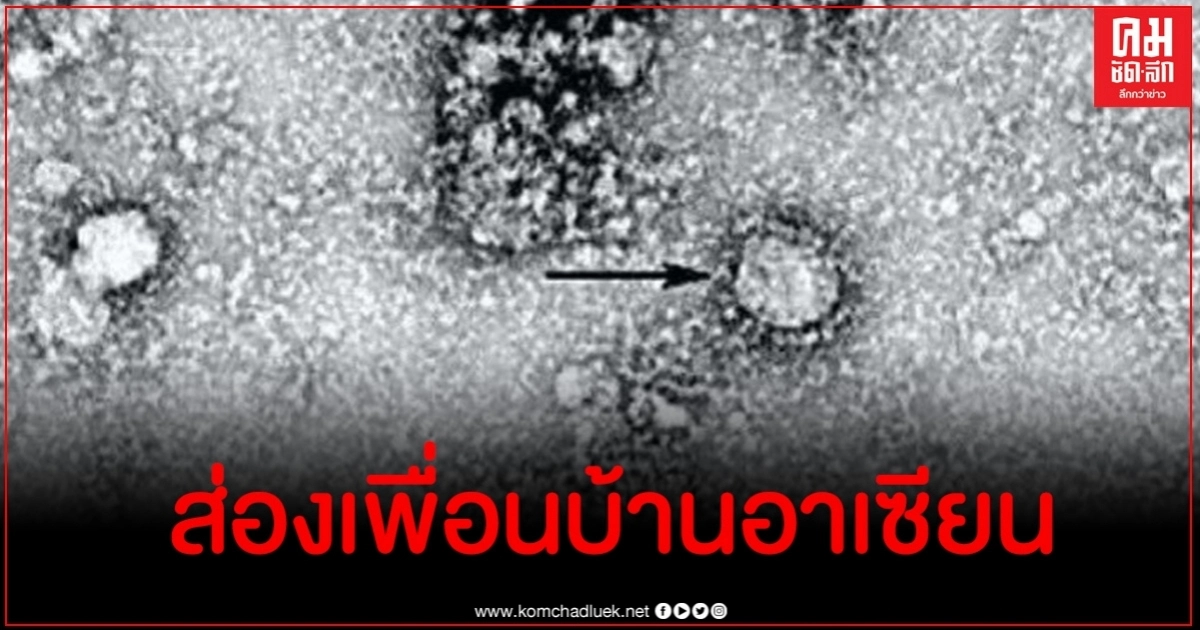 เปิด 5 ประเทศอาเซียนพบผู้ติดเชื้อโควิดรายใหม่สูงสุด เปิด 5 ประเทศอาเซียนพบผู้ติดเชื้อโควิดรายใหม่สูงสุด