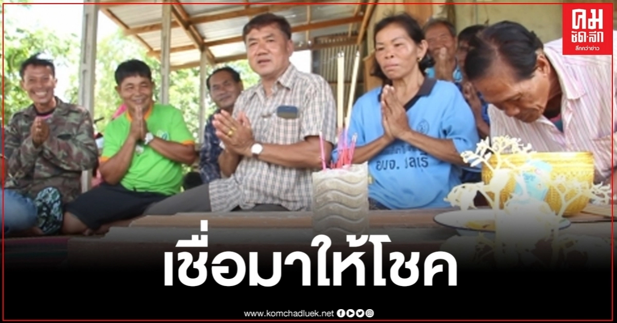 แห่ส่องเลขเด็ด ตอต้นคูนแทงยอดสีทองเหลืองอร่าม เจ้าของบ้านเชื่อมาให้โชค แห่ส่องเลขเด็ด ตอต้นคูนแทงยอดสีทองเหลืองอร่าม เจ้าของบ้านเชื่อมาให้โชค