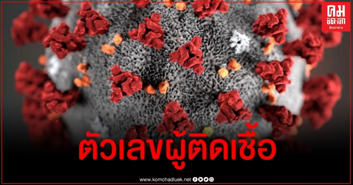 ด่วน ไทยพบผู้ติดเชื้อเพิ่มแค่ 1 ราย ข่าวดีหายป่วยเพิ่มเพียบ ด่วน ไทยพบผู้ติดเชื้อเพิ่มแค่ 1 ราย ข่าวดีหายป่วยเพิ่มเพียบ