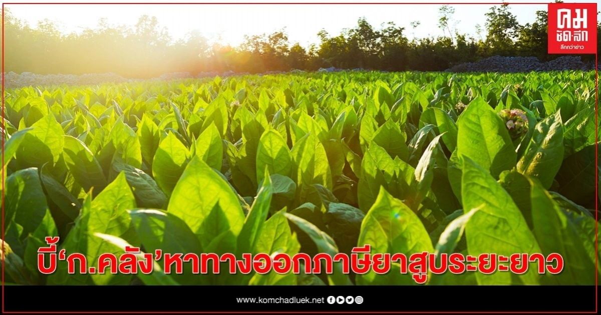 ชาวไร่ยาสูบ จี้ ก.คลังเร่งหาทางออกภาษียาสูบระยะยาว อย่าทำพลาดซ้ำสอง ชาวไร่ยาสูบ จี้ ก.คลังเร่งหาทางออกภาษียาสูบระยะยาว อย่าทำพลาดซ้ำสอง