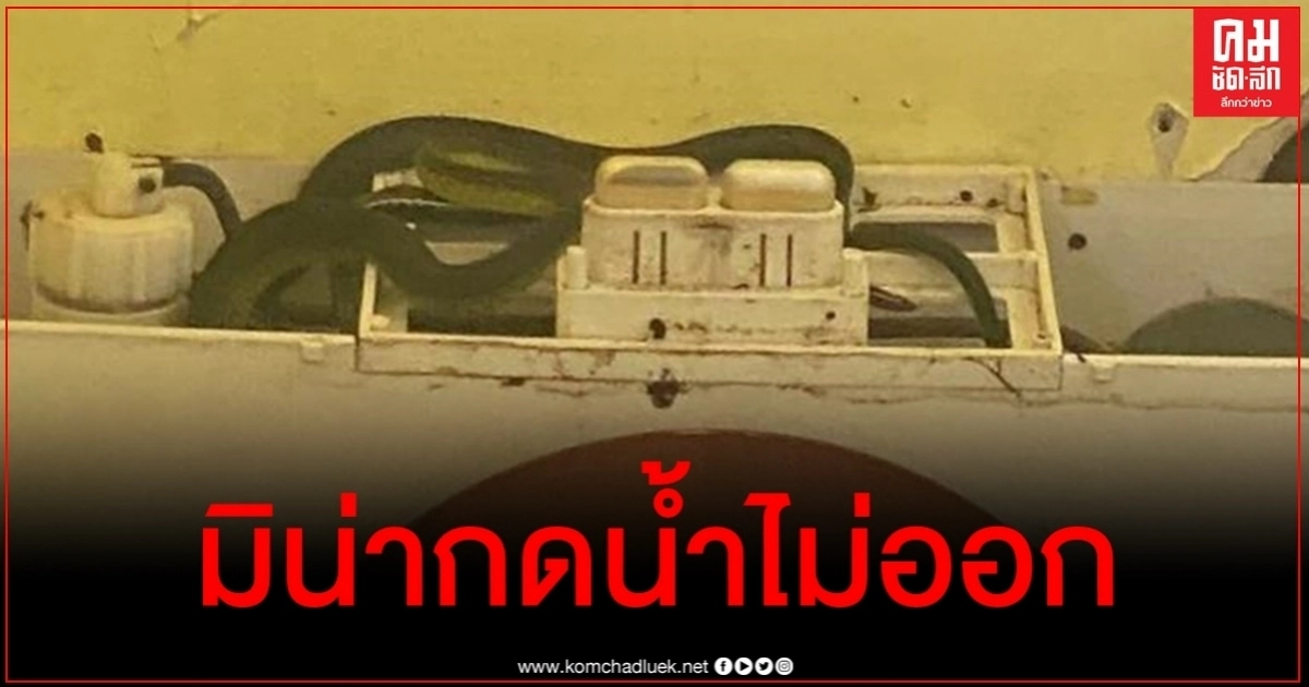 สตรีออสซี่สงสัยกดถังพักน้ำชักโครกฝืดผิดปกติ ผงะเจอต้นเหตุ งู 4 ตัว สตรีออสซี่สงสัยกดถังพักน้ำชักโครกฝืดผิดปกติ ผงะเจอต้นเหตุ งู 4 ตัว