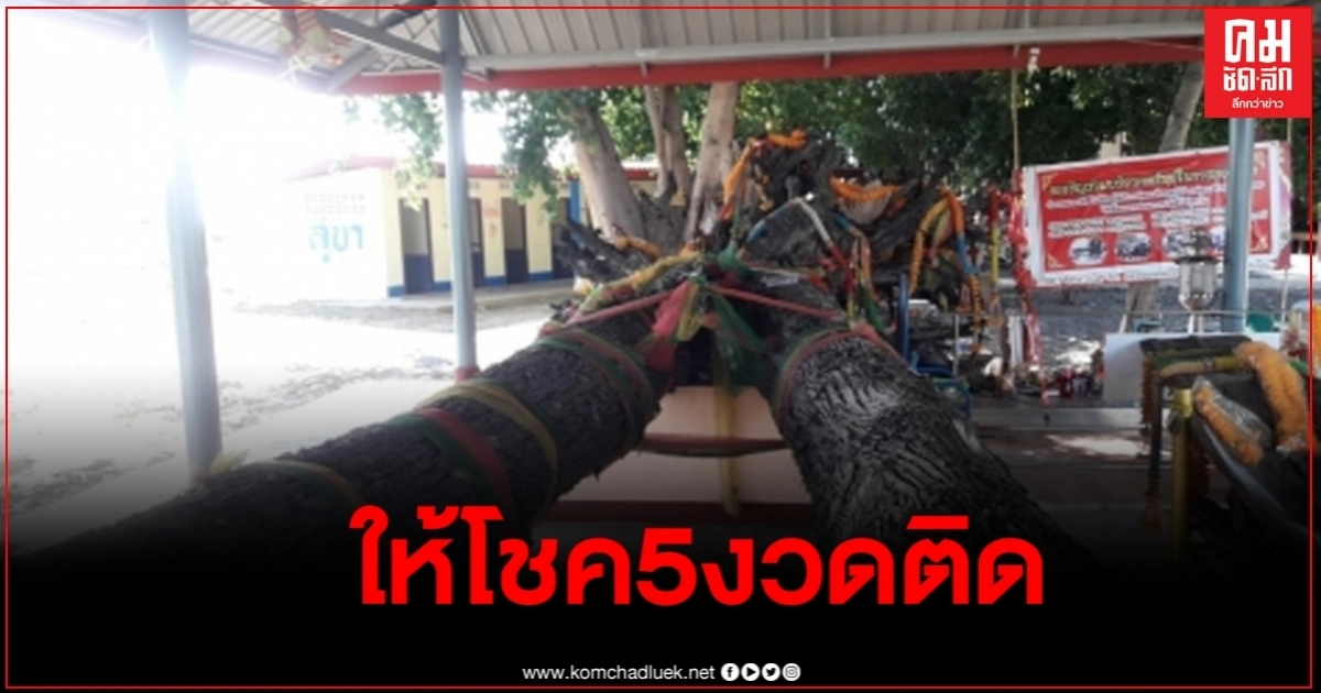 ผู้ใหญ่บ้านดวงเฮงถูกหวยติดต่อกัน5งวดติดจากการขอเลขเด็ดต้นตะเคียนทอง ผู้ใหญ่บ้านดวงเฮงถูกหวยติดต่อกัน5งวดติดจากการขอเลขเด็ดต้นตะเคียนทอง