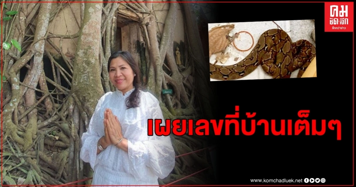 นักเสี่ยงโชคตาลุกวาว "แม่แก้ว"เผยเลขเด็ด หลังงูหลามตัวใหญ่เลื้อยเข้าบ้าน นักเสี่ยงโชคตาลุกวาว "แม่แก้ว"เผยเลขเด็ด หลังงูหลามตัวใหญ่เลื้อยเข้าบ้าน