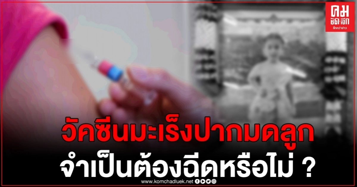 ไขข้อข้องใจ "วัคซีนมะเร็งปากมดลูก" จำเป็นต้องฉีดหรือไม่ หลังพบเด็ก 11 ปี ฉีดยาดังกล่าว แต่กลับเสียชีวิต ไขข้อข้องใจ "วัคซีนมะเร็งปากมดลูก" จำเป็นต้องฉีดหรือไม่ หลังพบเด็ก 11 ปี ฉีดยาดังกล่าว แต่กลับเสียชีวิต