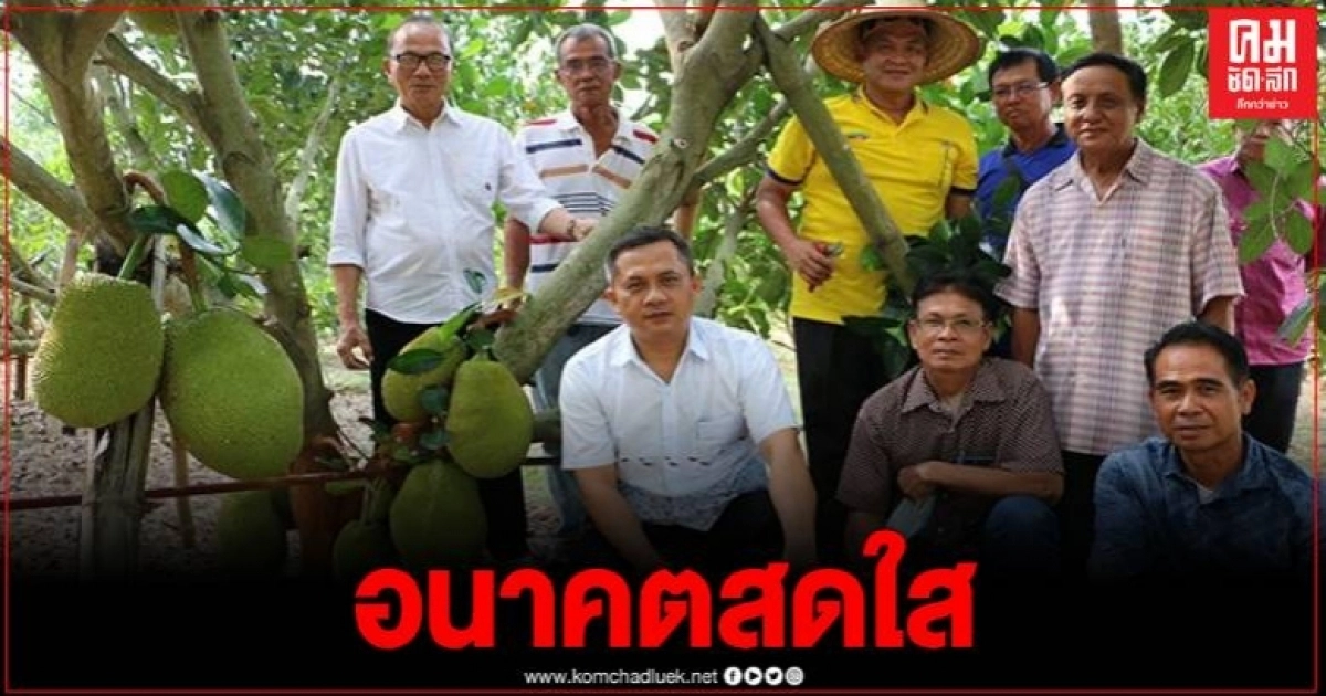 สภาเกษตรกรพิจิตร หนุนชาวบ้านปลูกขนุนพืชทางเลือกใหม่ ชี้จีนเปิดตลาดรับซื้อราคาดี สภาเกษตรกรพิจิตร หนุนชาวบ้านปลูกขนุนพืชทางเลือกใหม่ ชี้จีนเปิดตลาดรับซื้อราคาดี