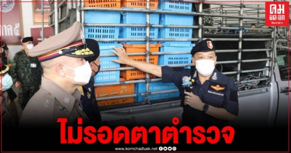 รวบคาด่าน แก๊งยาเสพติด แอบซุก 5 ล้านเม็ด ในรังส้มเขียวหวานตบตา จนท. รวบคาด่าน แก๊งยาเสพติด แอบซุก 5 ล้านเม็ด ในรังส้มเขียวหวานตบตา จนท.
