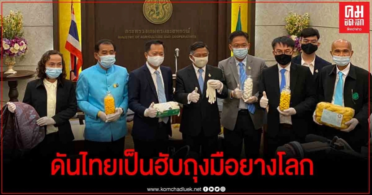 "เฉลิมชัย"สั่ง "การยางฯ"เร่งเครื่องดันไทยเป็น"ฮับถุงมือยางโลก"