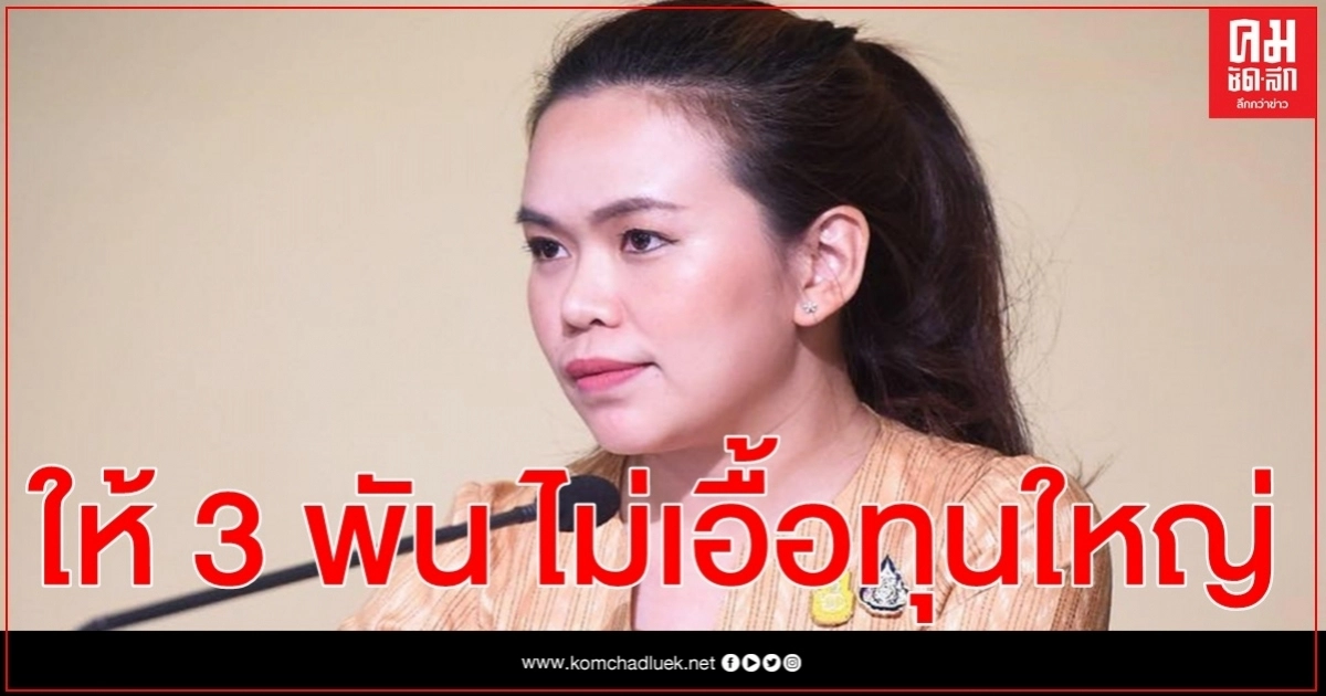 รัฐบาล แจงให้ 3 พัน 15 ล้านสิทธิ์ ประชาชน-ผู้ค้ารายเล็กได้ประโยชน์ ไม่เอื้อทุนใหญ่ รัฐบาล แจงให้ 3 พัน 15 ล้านสิทธิ์ ประชาชน-ผู้ค้ารายเล็กได้ประโยชน์ ไม่เอื้อทุนใหญ่