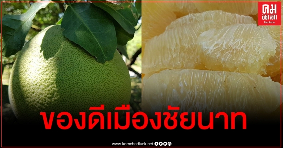 ผู้ว่าฯชัยนาทชวนเที่ยวงานวันส้มโอขาวแตงกวา ครั้งที่ 37 ขนของดีท้องถิ่นมาให้ชิมเพียบ