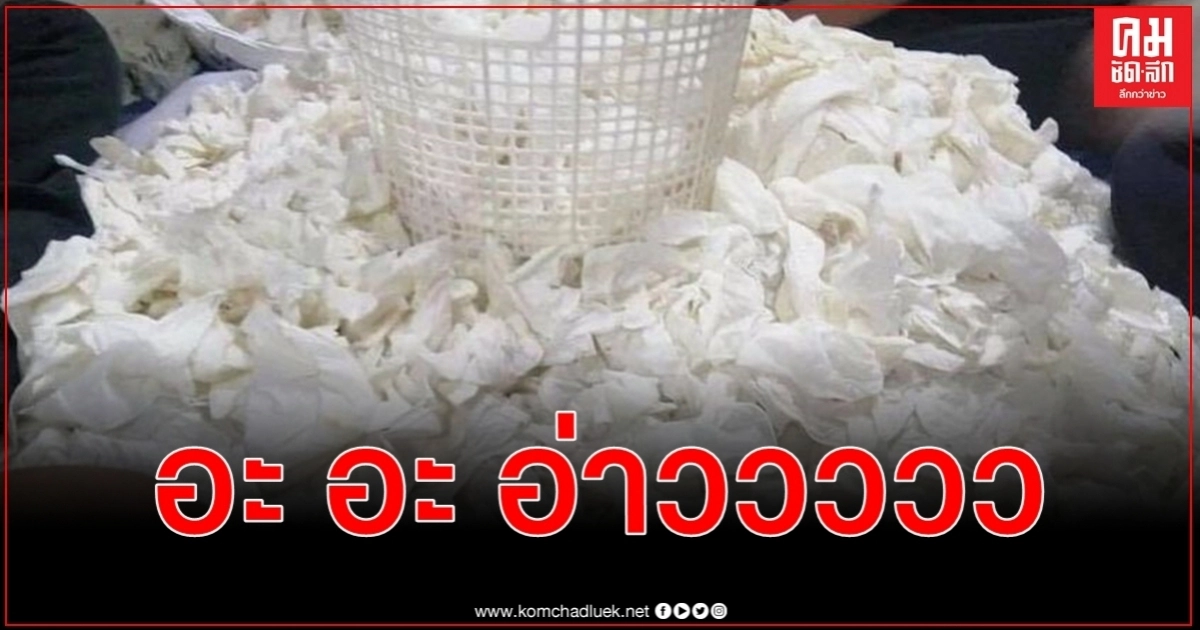 หมอแล็บแพนด้า อะ อะ อ่าววววว พาร์ทไทม์คัดแยกถุงมือการแพทย์ใช้แล้วซักแพ็กขายใหม่ หมอแล็บแพนด้า อะ อะ อ่าววววว พาร์ทไทม์คัดแยกถุงมือการแพทย์ใช้แล้วซักแพ็กขายใหม่