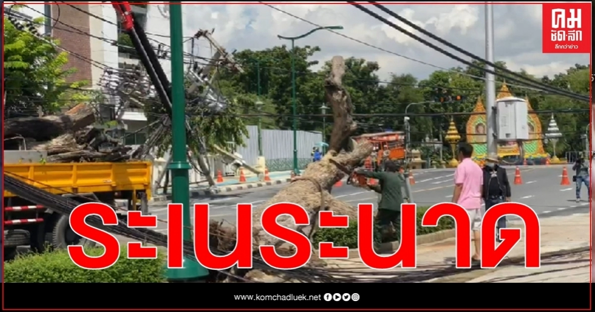 ฝนกระหน่ำกรุง ต้นมะขาม 100 ปี - เสาไฟ โค่นระนาว