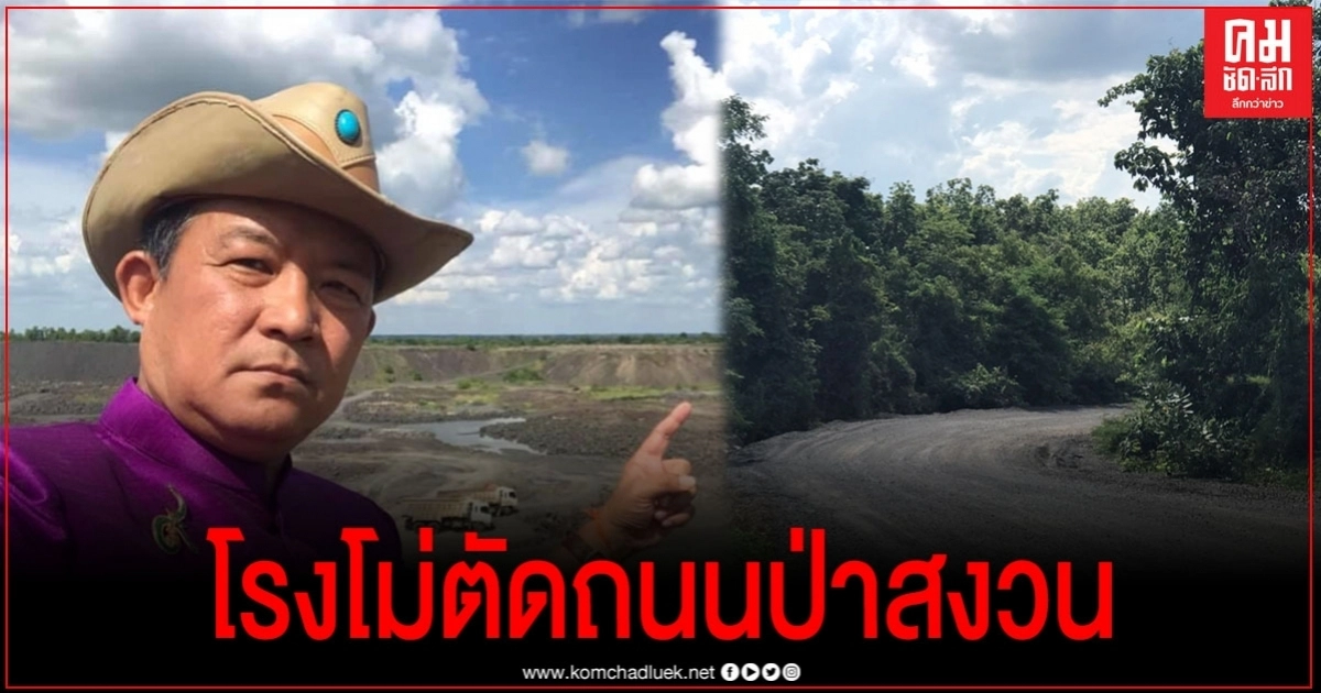 "ศรีสุวรรณ"โวยป่าไม้บุรีรัมย์ปล่อยนายทุนโรงโม่หินทำถนนตัดป่าสงวน "ศรีสุวรรณ"โวยป่าไม้บุรีรัมย์ปล่อยนายทุนโรงโม่หินทำถนนตัดป่าสงวน