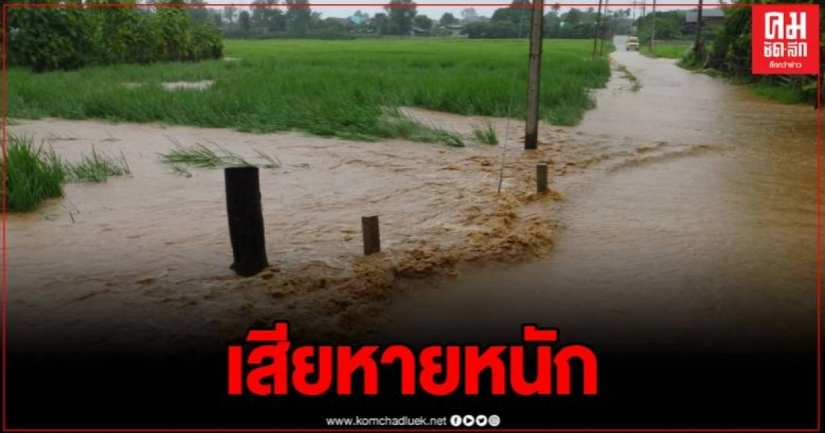 เชียงคำ ฝนตกต่อเนื่องทำน้ำไหลหลาก ท่วมถนน นาข้าวเสียหาย เชียงคำ ฝนตกต่อเนื่องทำน้ำไหลหลาก ท่วมถนน นาข้าวเสียหาย