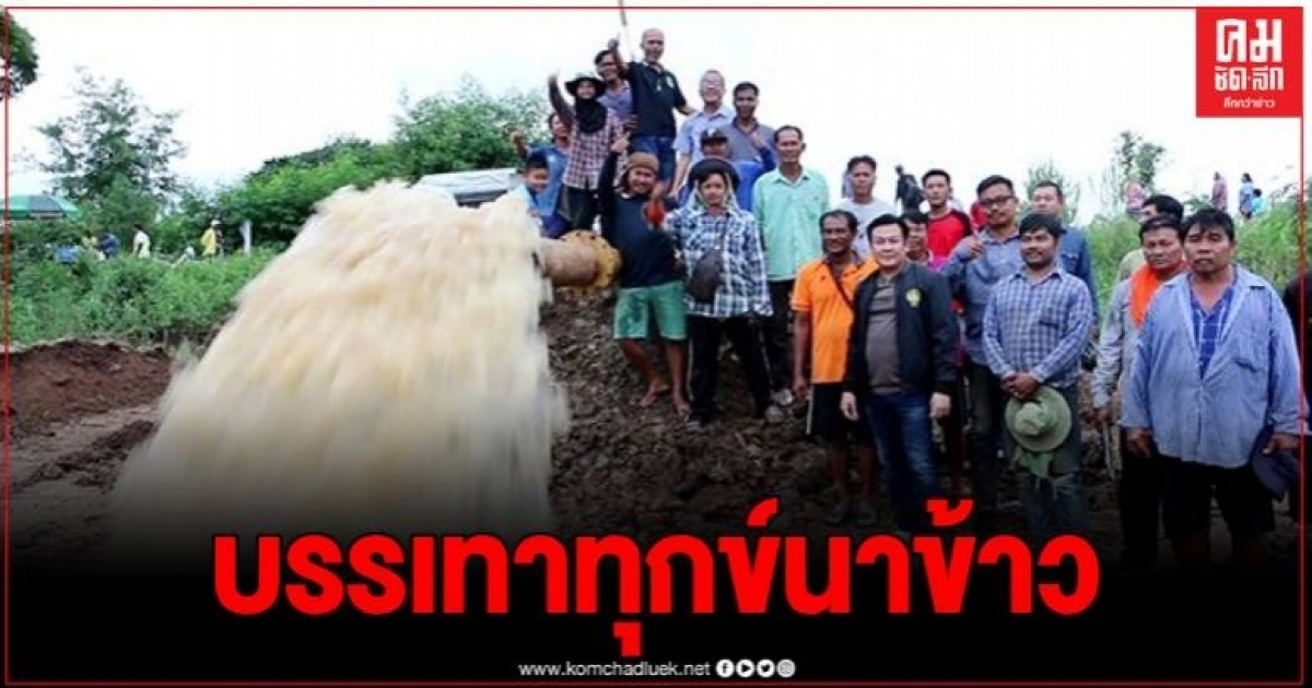 พิจิตร วิกฤตฝนทิ้งช่วง สส.ลงพื้นที่บรรเทาทุกข์ วอนขอฝนหลวงช่วยนาข้าวก่อนเสียหายหมด พิจิตร วิกฤตฝนทิ้งช่วง สส.ลงพื้นที่บรรเทาทุกข์ วอนขอฝนหลวงช่วยนาข้าวก่อนเสียหายหมด