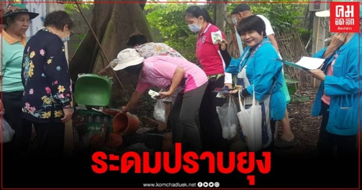 เชียงใหม่ 25 อำเภอพบผู้ป่วยไข้เลือดออกพุ่ง ดับแล้ว 1 อสม.ระดมลงชุมชนกำจัดลูกน้ำยุงลาย