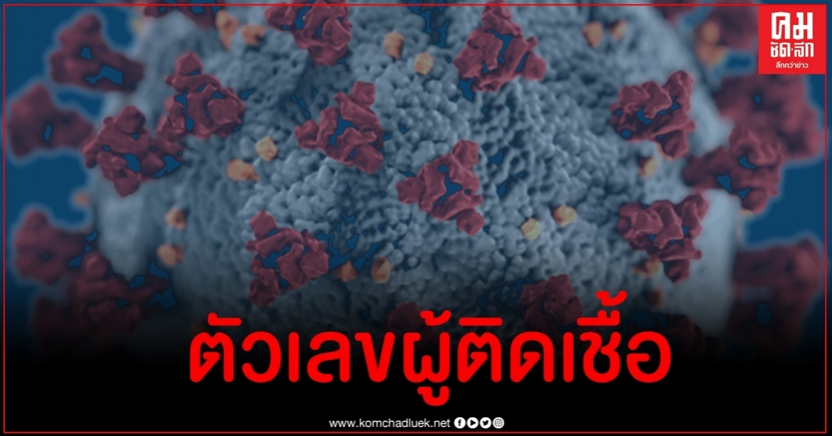 ด่วน ผู้ติดเชื้อโควิด-19 วันนี้รักษาหายถึง 24 ราย แม้ยังพบผู้ติดเชื้อเพิ่ม ด่วน ผู้ติดเชื้อโควิด-19 วันนี้รักษาหายถึง 24 ราย แม้ยังพบผู้ติดเชื้อเพิ่ม