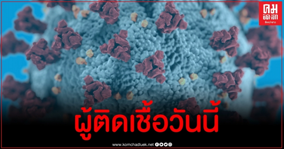 ด่วน ไทยพบผู้ติดเชื้อโควิด-19 เพิ่มขึ้น 7 ราย 2 วันติด ด่วน ไทยพบผู้ติดเชื้อโควิด-19 เพิ่มขึ้น 7 ราย 2 วันติด