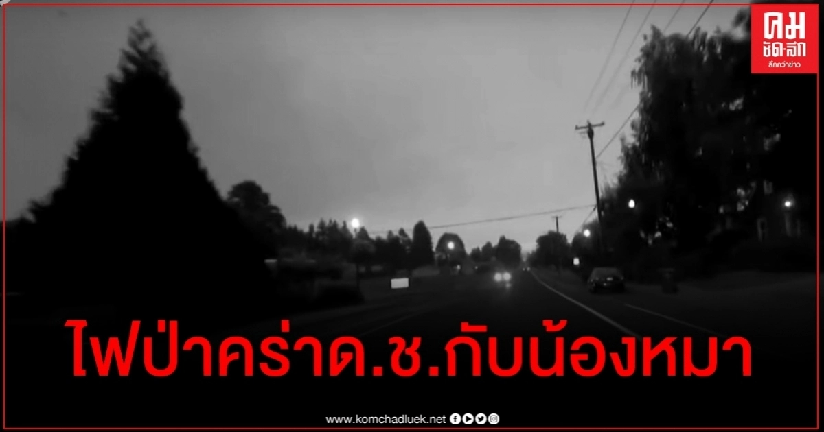 ใจสลาย พบด.ช.12 ขวบเสียชีวิตพร้อมน้องหมาอยู่บนตักขณะพยายามหนีไฟป่า ใจสลาย พบด.ช.12 ขวบเสียชีวิตพร้อมน้องหมาอยู่บนตักขณะพยายามหนีไฟป่า