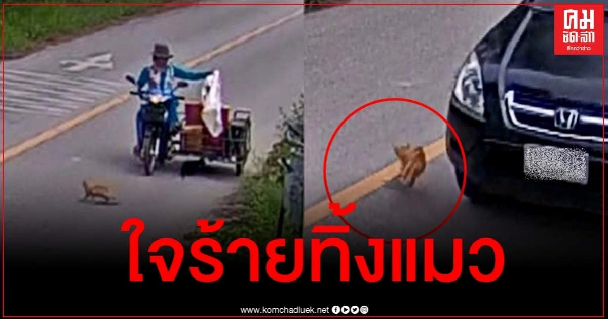 จิตใจทำด้วยอะไร เปิดภาพแฉคนใจร้ายจับแมว 2 ตัวยัดกระสอบปล่อยทิ้งข้างทาง