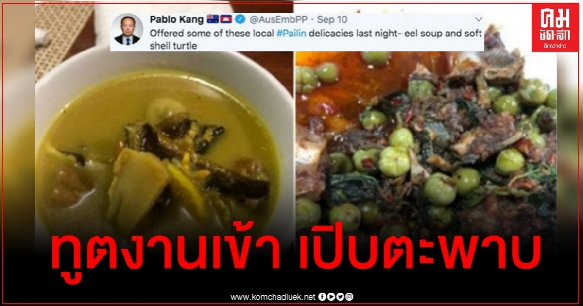 ทูตออสซี่ขอโทษเปิบซุปตะพาบ ทวีตรูปจานเด็ดกัมพูชา ถูกต่อว่าไม่รู้หรือสัตว์ใกล้สูญพันธ์